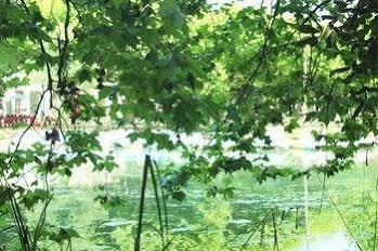 Termas Da Curia Spa Resort Экстерьер фото
