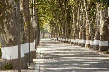 Termas Da Curia Spa Resort Экстерьер фото